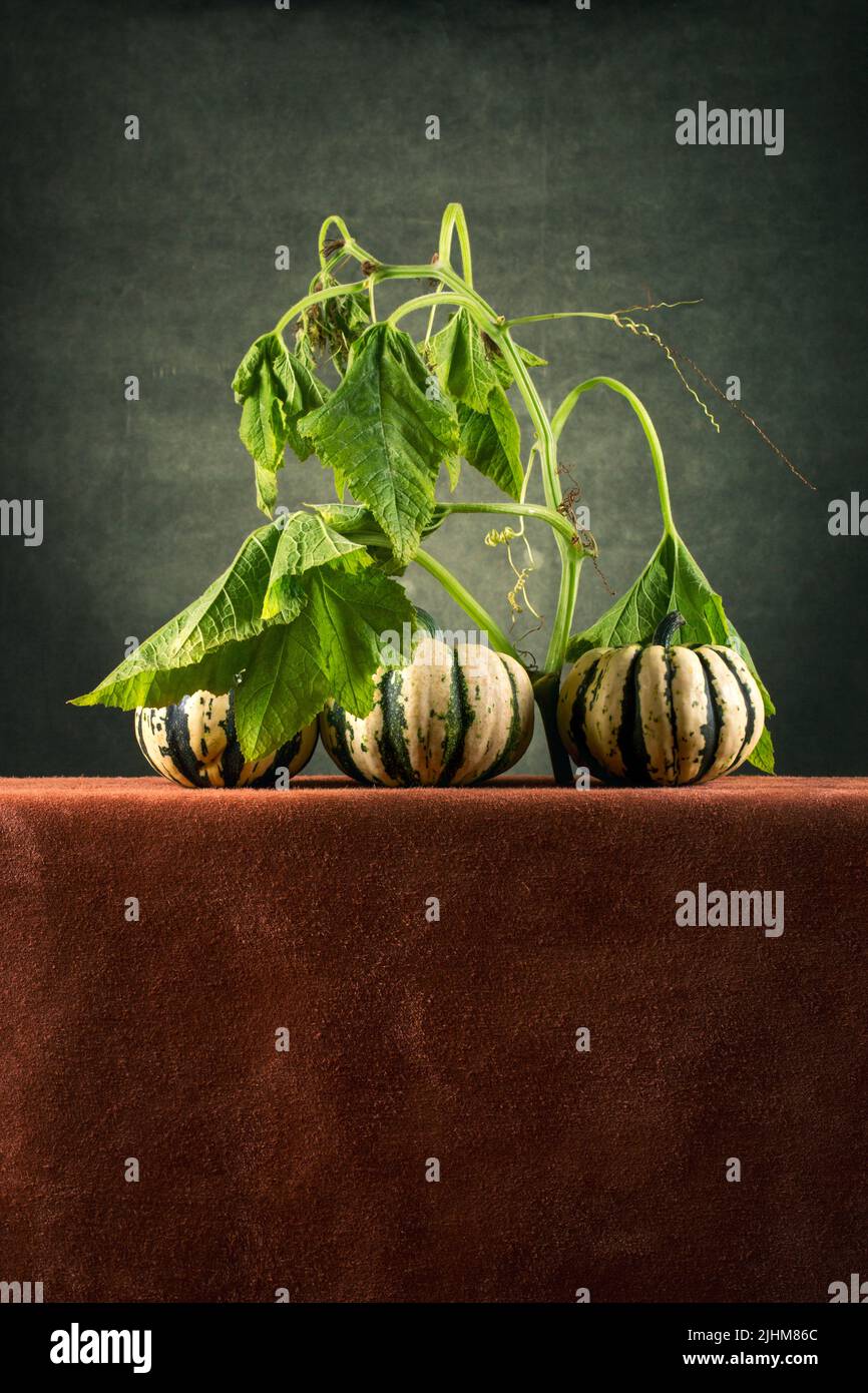 Three striped decorative pumpkins on a brown table Stock Photo