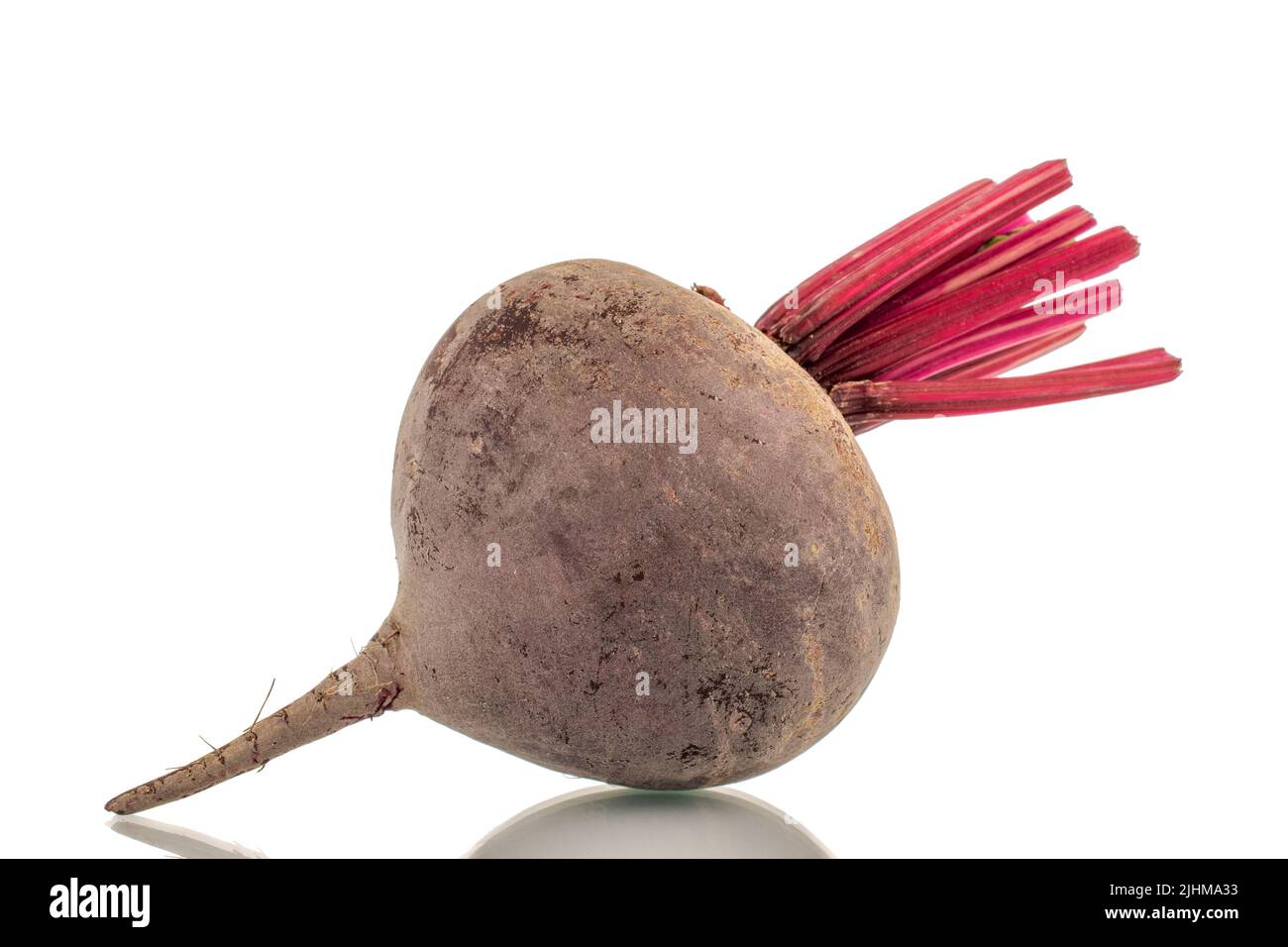 One sweet red beet, close-up, on a white background Stock Photo - Alamy