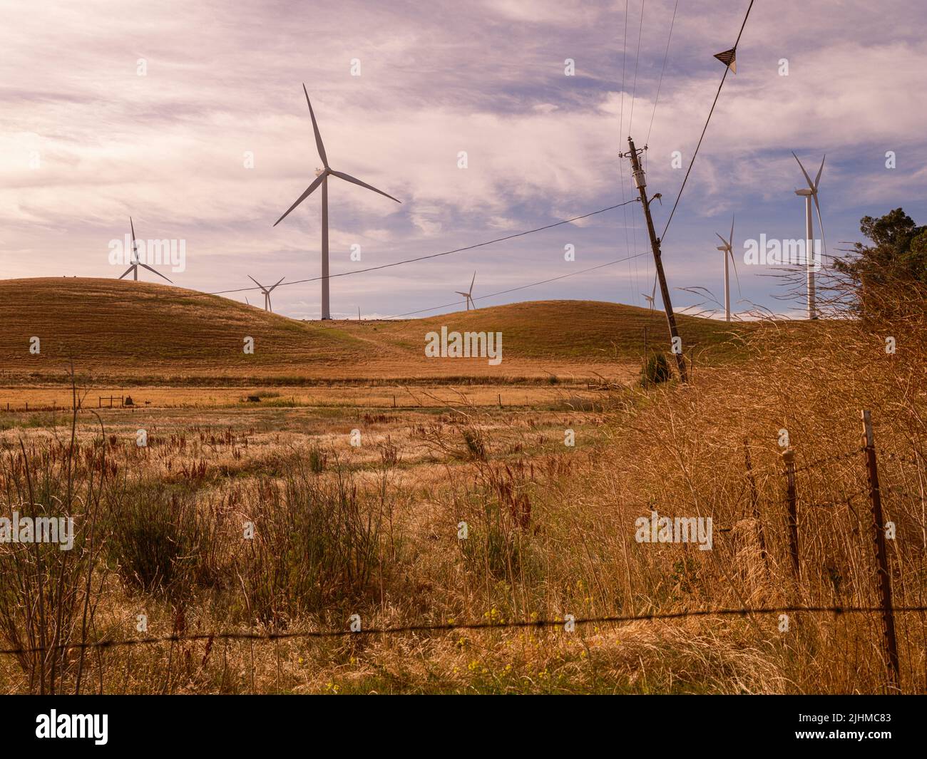 Wind Turbines and Agricultural land with wind blown power poles and cables Stock Photo