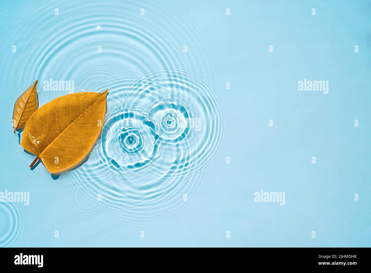 Yellow leaves on blue water with circles and ripples from drops, splashes Stock Photo