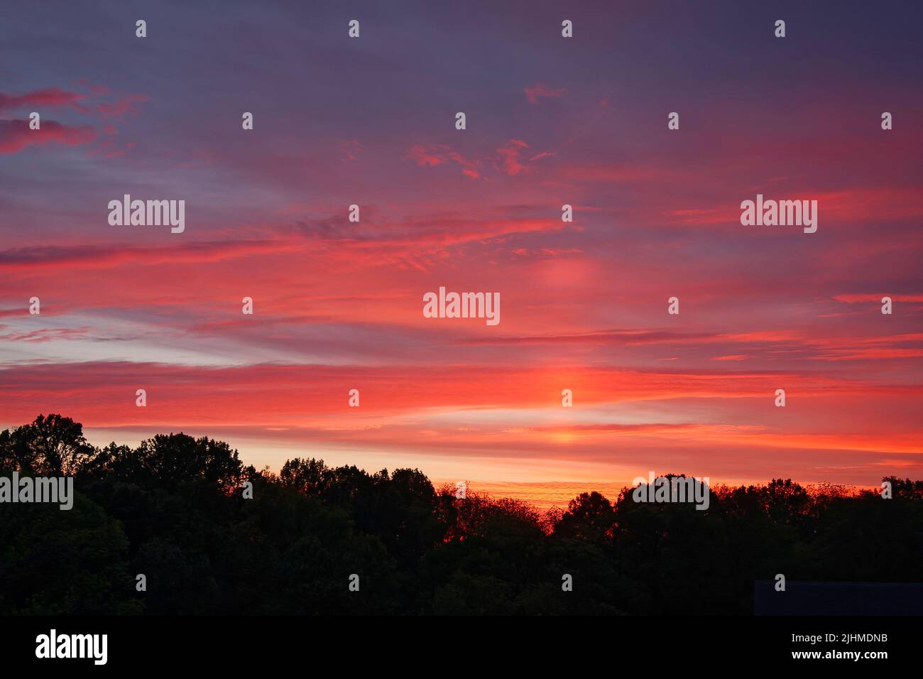 sunrise, pink and orange clouds, sky; above trees silhouette, colorful; nature; PA; Pennsylvania Stock Photo