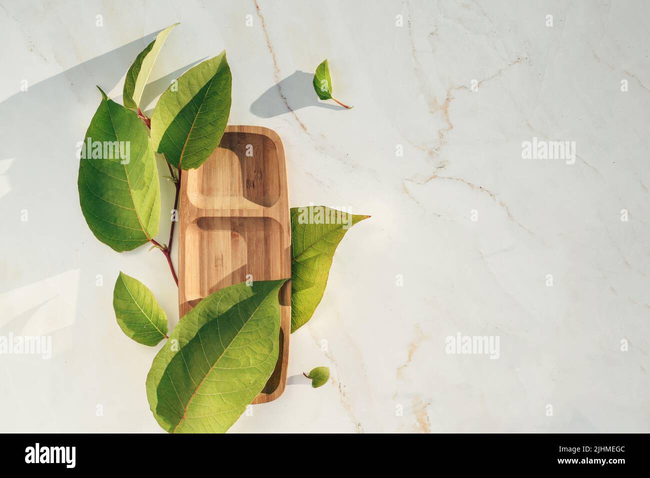 Podium from a wooden stand and green plants Flat lay Stock Photo