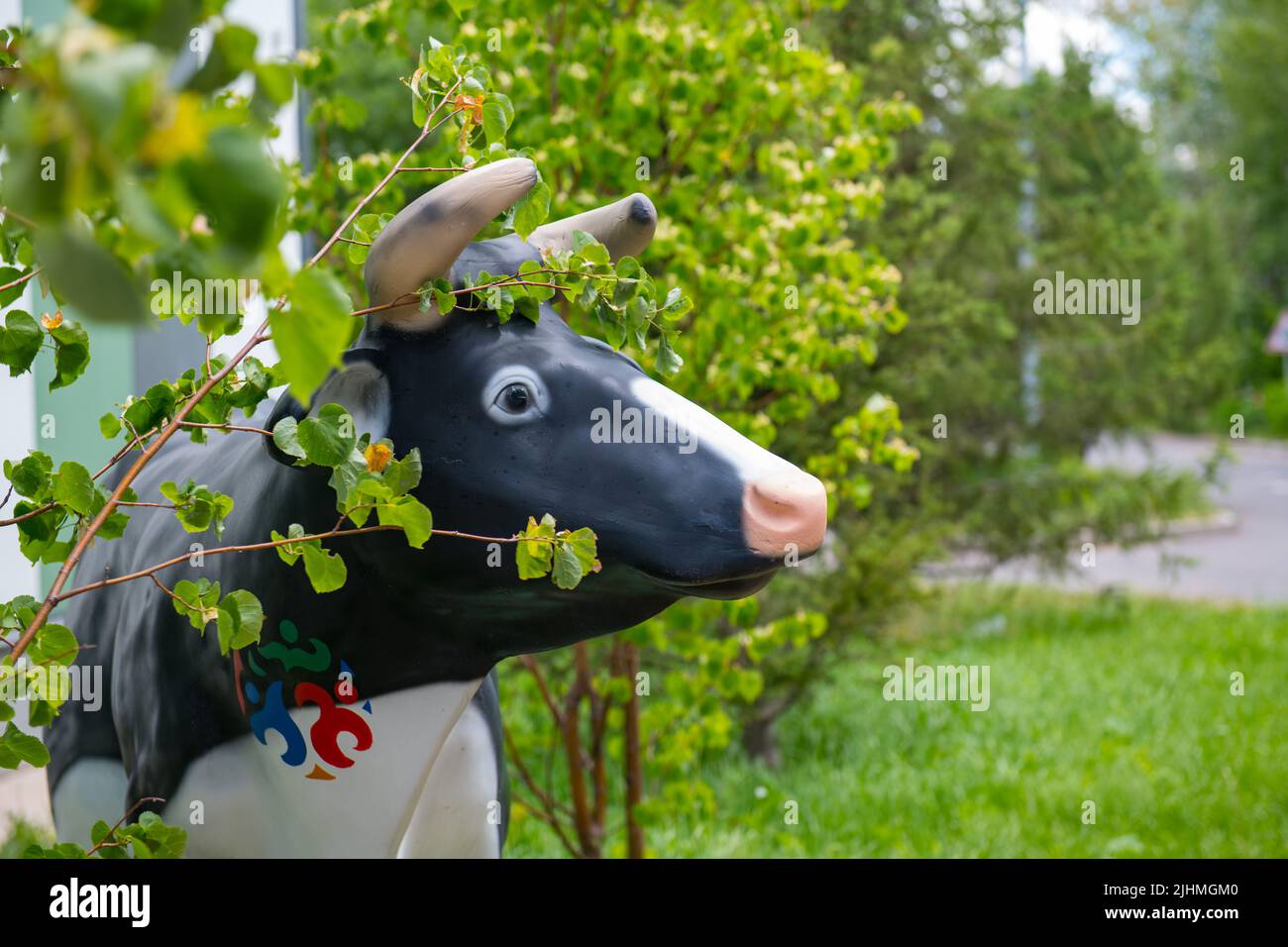 one multi-colored cow stands on the lawn Stock Photo