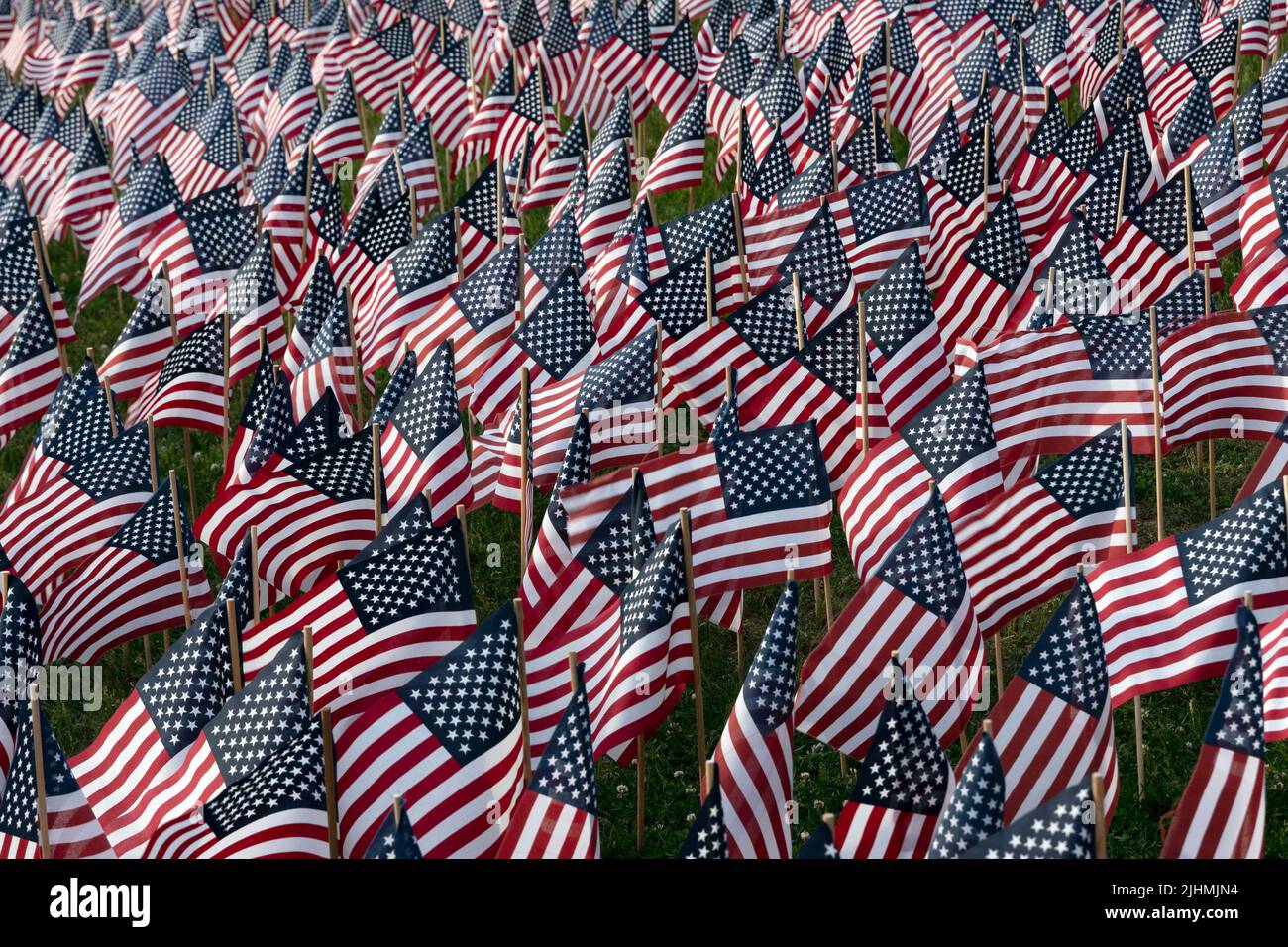 field of American flags, Boston Common Stock Photo Alamy