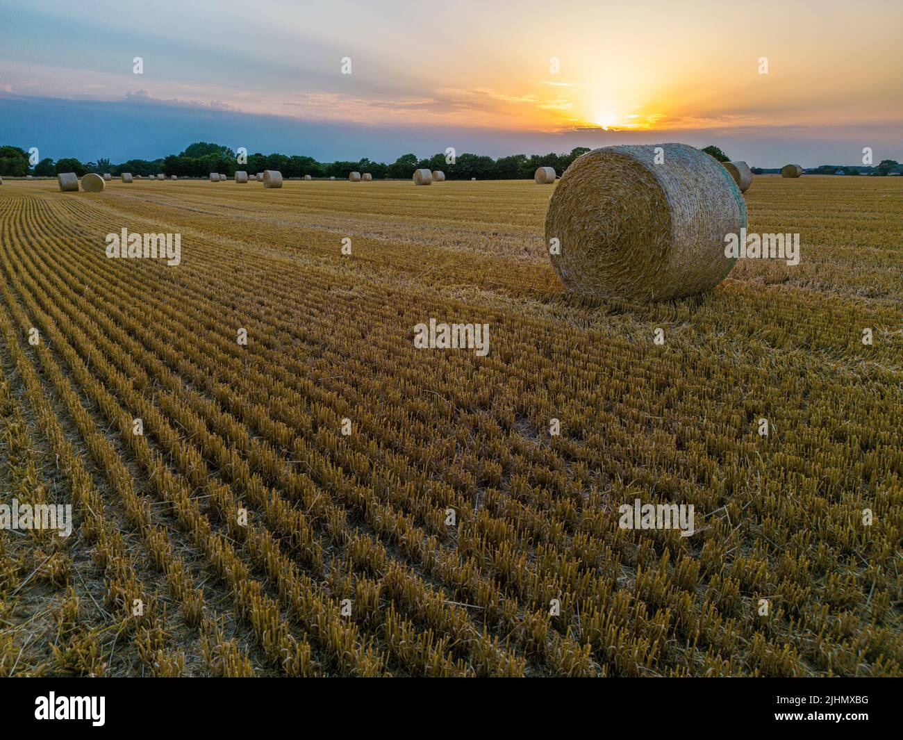 Wheat fields at Harvest time Stock Photo