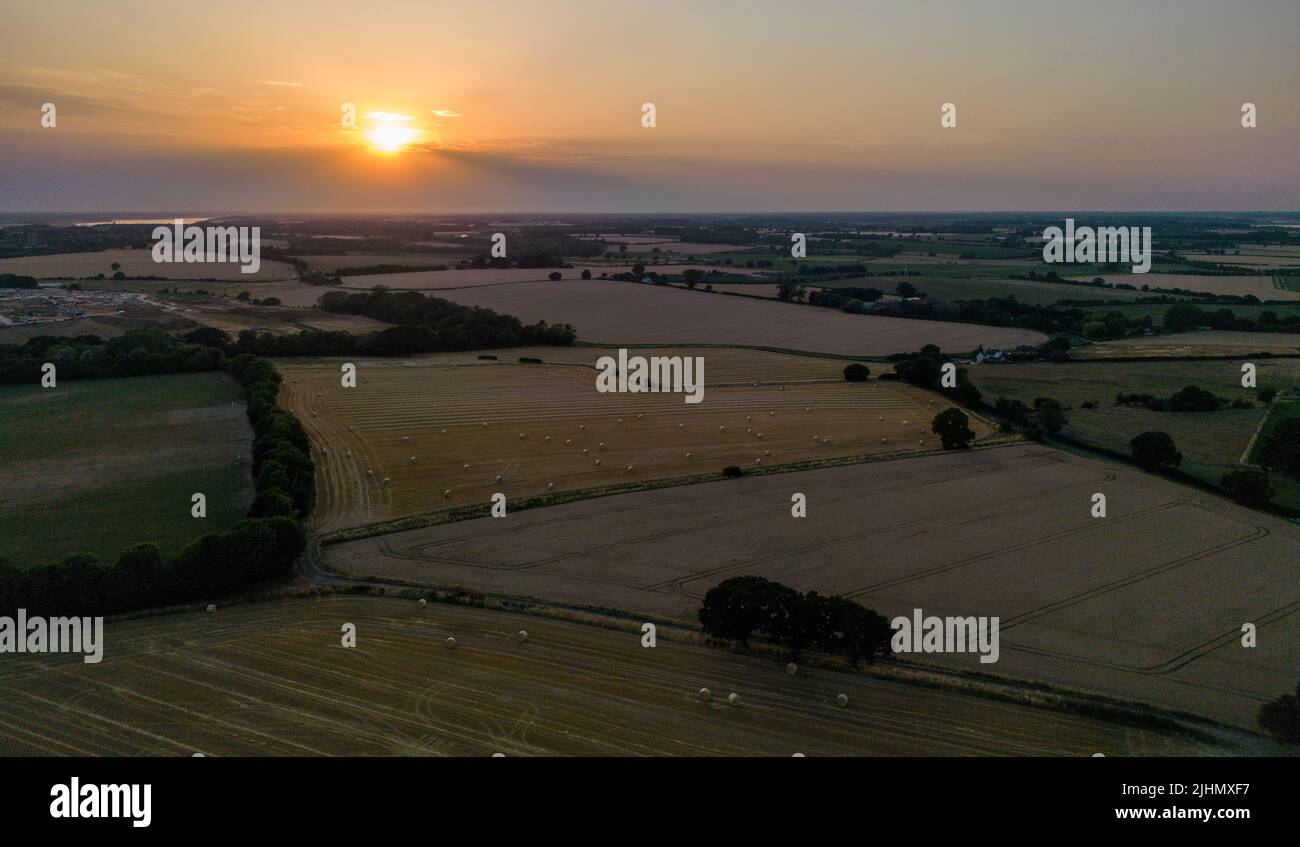 Wheat fields at Harvest time Stock Photo