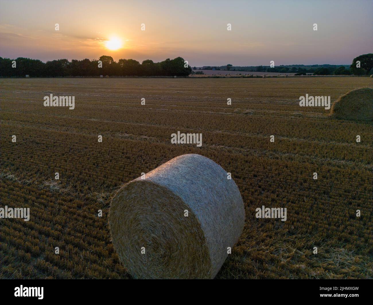 Wheat fields at Harvest time Stock Photo