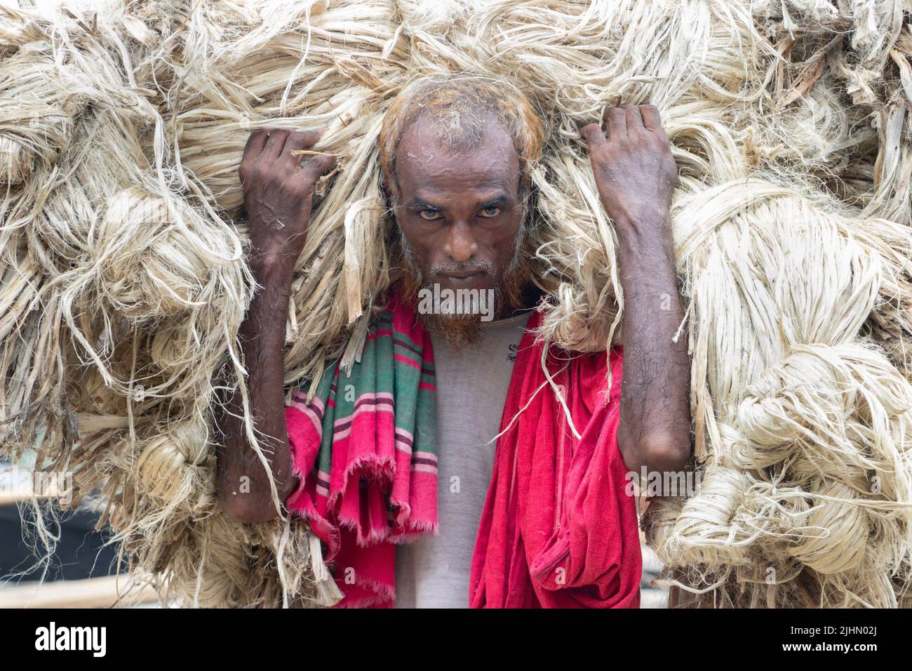 July 20, 2022, Manikganj, Dhaka, Bangladesh: Workers carry 50kg bundles of newly harvested jute above their heads to sell at a market in Manikganj, Bangladesh. The Golden Fiber of Bangladesh, Jute offers an alternative to plastic bags because of its biodegradable properties. The diligent workers appear to be wearing large golden wigs and their bodies are enveloped with the heavy natural fibers, with only their faces visible as they each carry around 50kg of jute on their shoulders. Bangladesh is the second biggest producer of jute after India and the largest exporter of jute and jute products Stock Photo