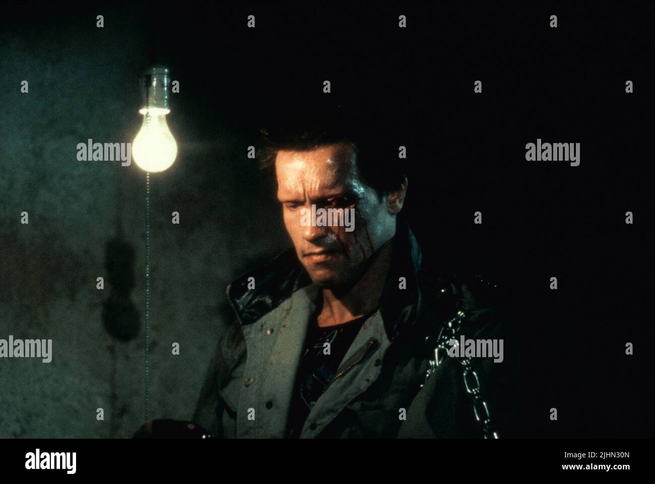 ARNOLD SCHWARZENEGGER, THE TERMINATOR, 1984 Stock Photo - Alamy