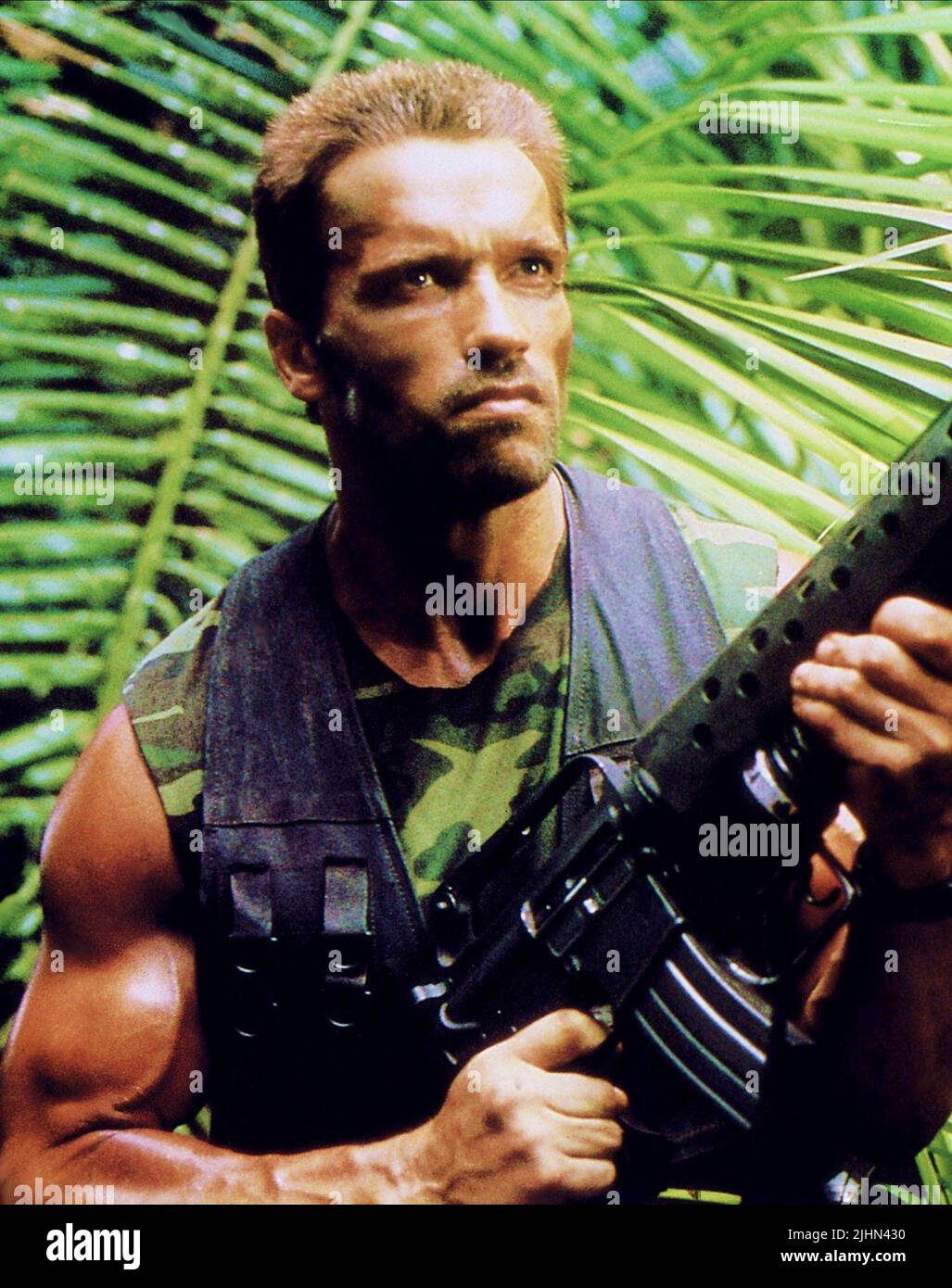ARNOLD SCHWARZENEGGER, PREDATOR, 1987 Stock Photo - Alamy