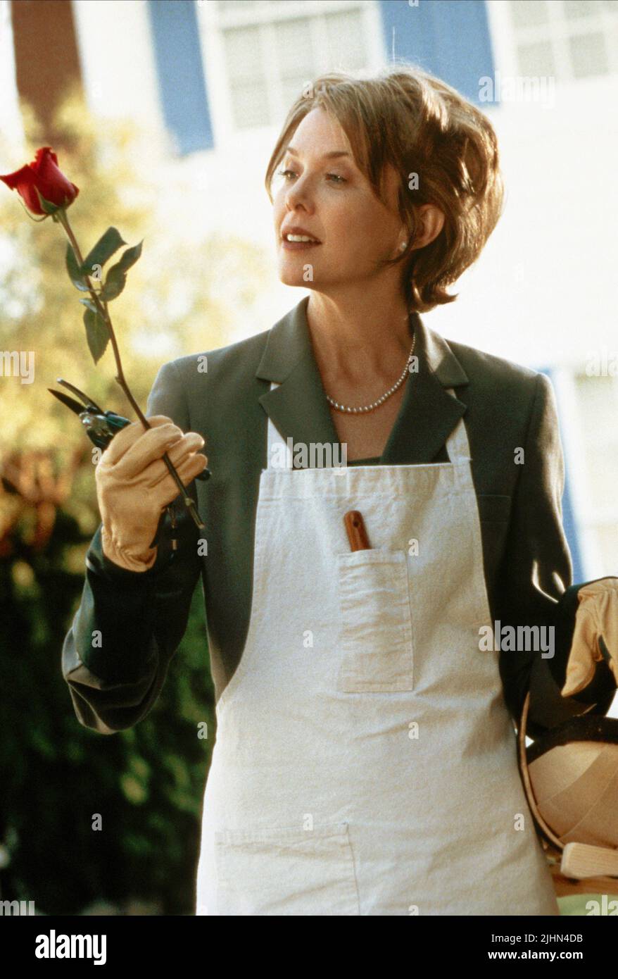 Annette Bening American Beauty Hair