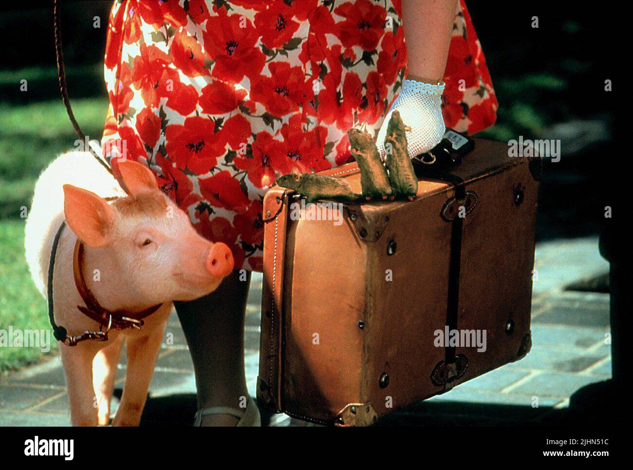 BABE, THE THREE MICE, BABE: PIG IN THE CITY, 1998 Stock Photo