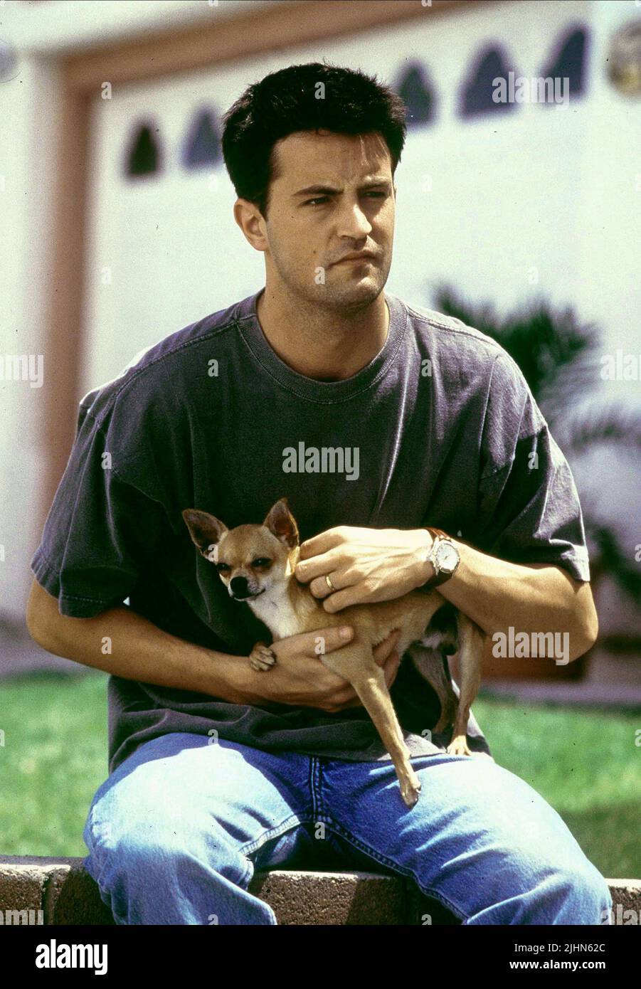 MATTHEW PERRY, DOG, FOOLS RUSH IN, 1997 Stock Photo