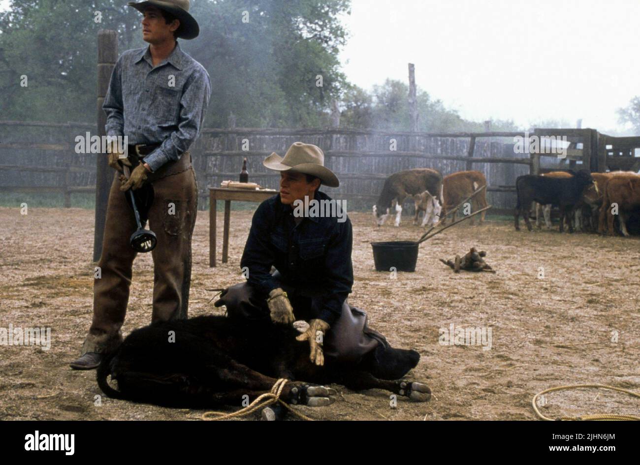 HENRY THOMAS, MATT DAMON, ALL THE PRETTY HORSES, 2000 Stock Photo Alamy