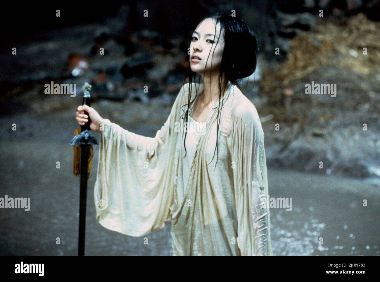 ZHANG ZIYI, CROUCHING TIGER  HIDDEN DRAGON, 2000 Stock Photo