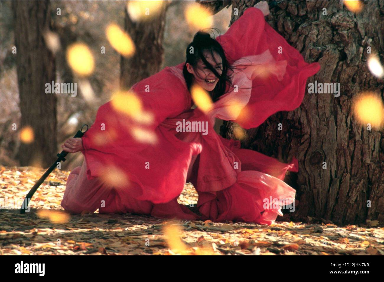 ZIYI ZHANG, HERO, 2002 Stock Photo