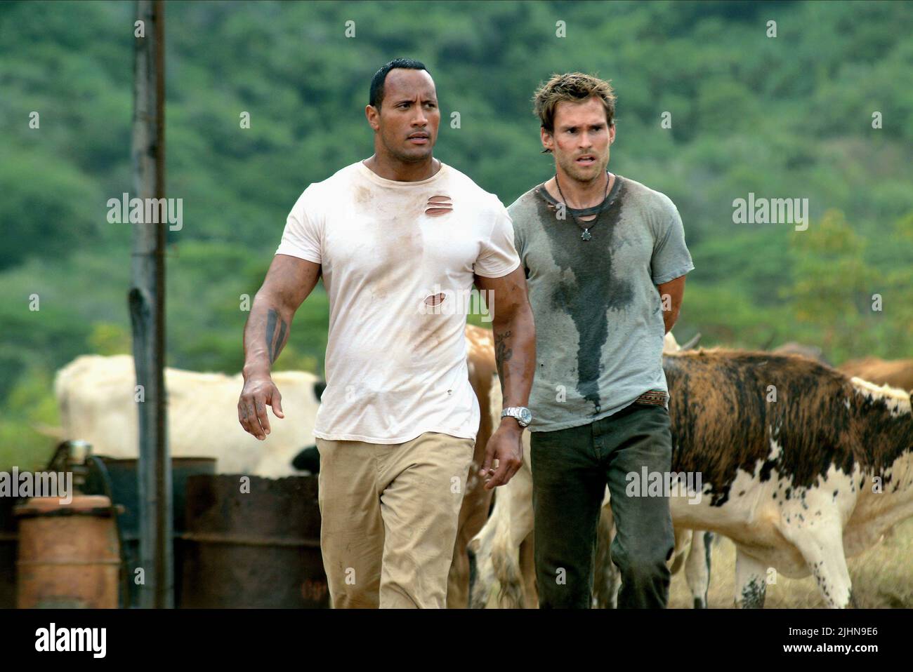 The Rundown Seann William Scott