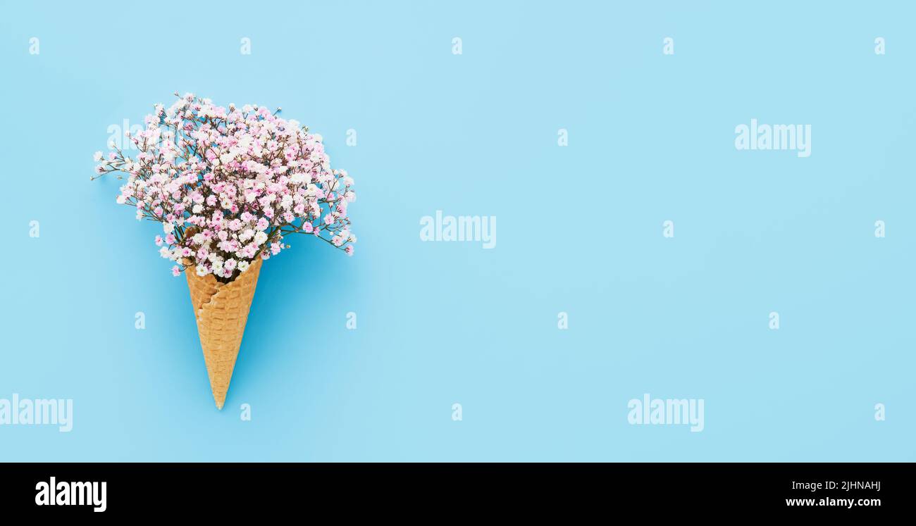 Pink gypsophila flowers in a waffle ice cream cone on a blue background. Mothers Day, Valentine's Day, bachelorette, summer concept. Copy space, banner Stock Photo