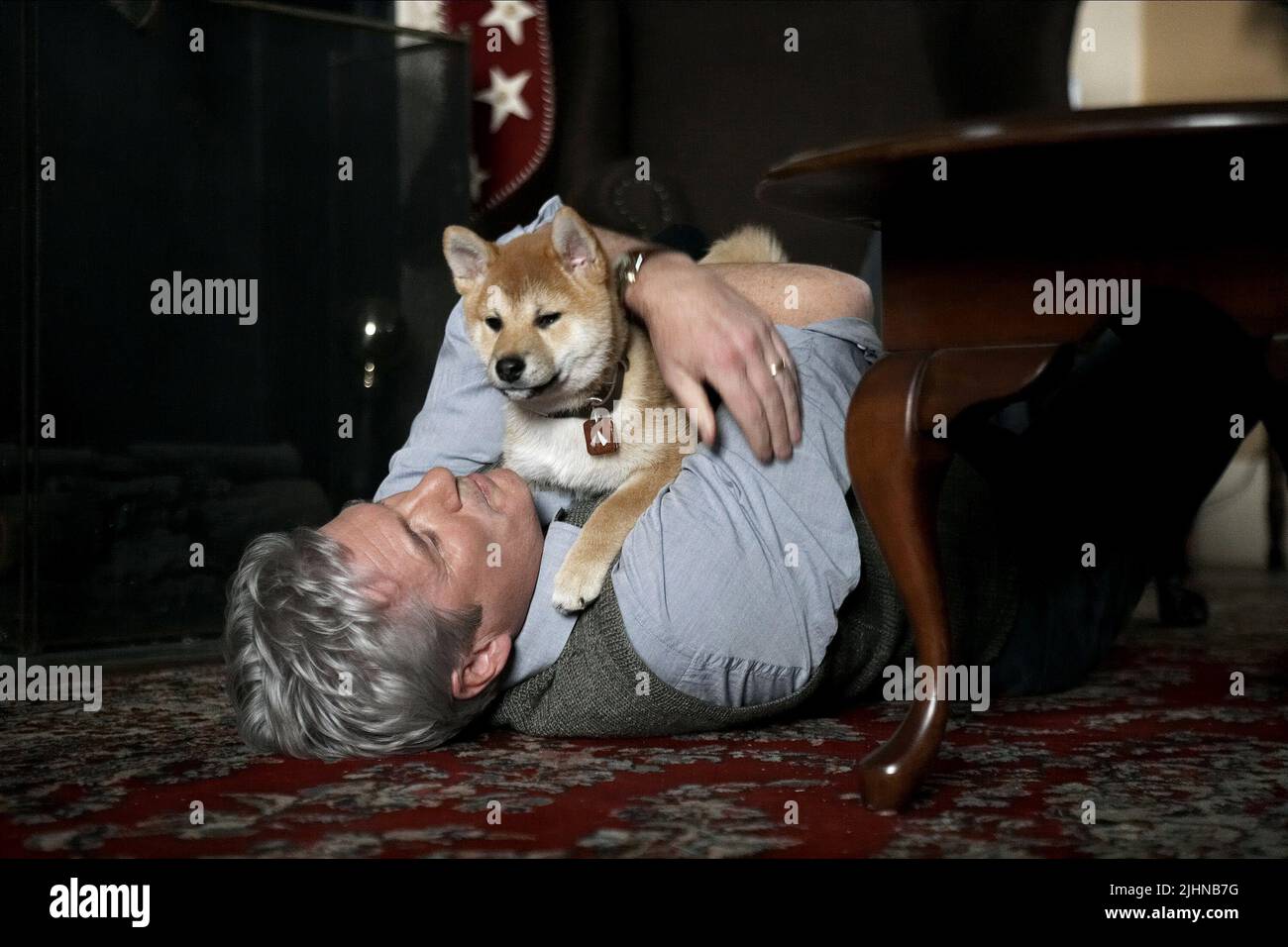 RICHARD GERE, HACHIKO A DOG'S STORY , 2009 Stock Photo Alamy