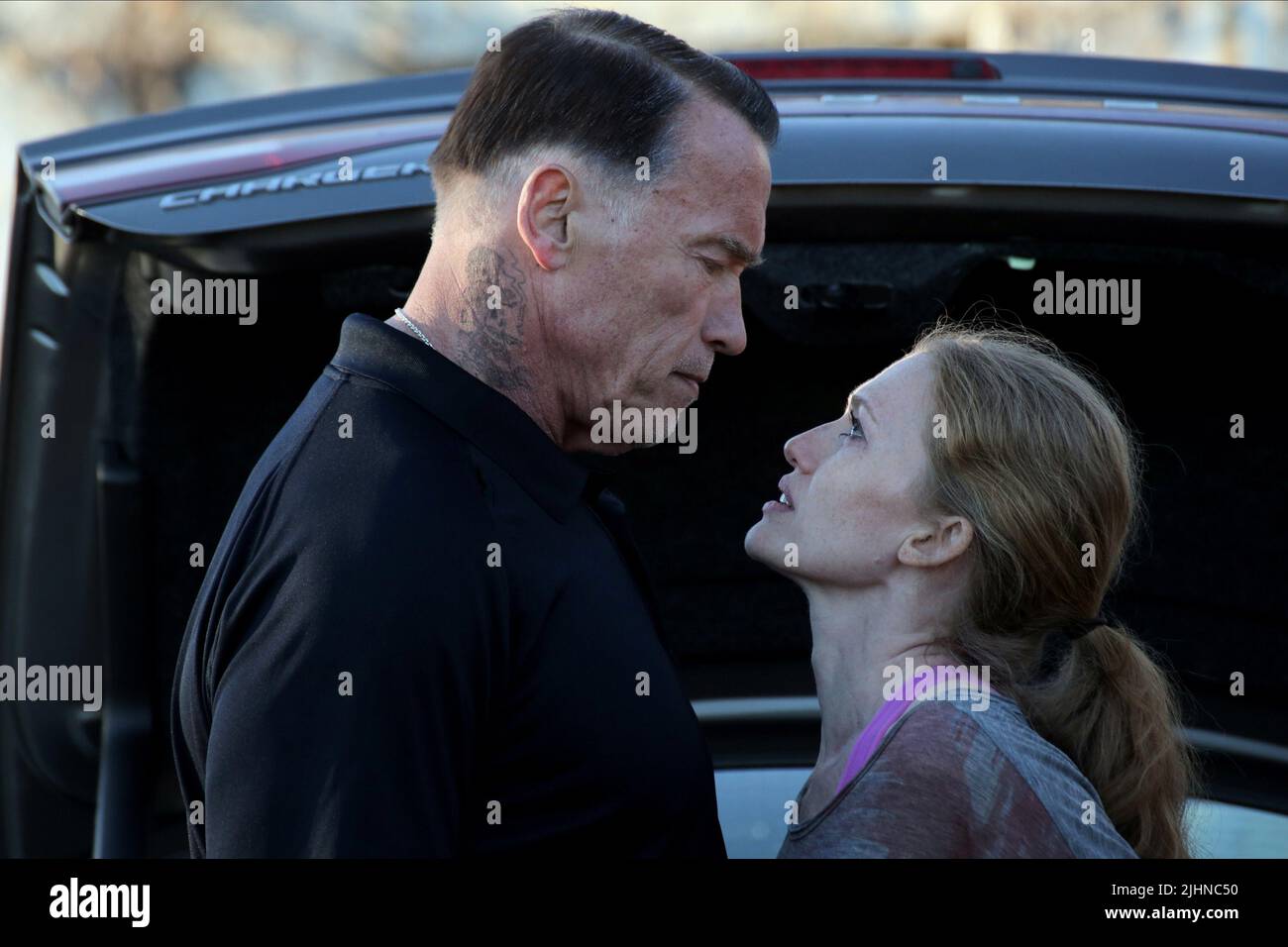 ARNOLD SCHWARZENEGGER, MIREILLE ENOS, SABOTAGE, 2014 Stock Photo