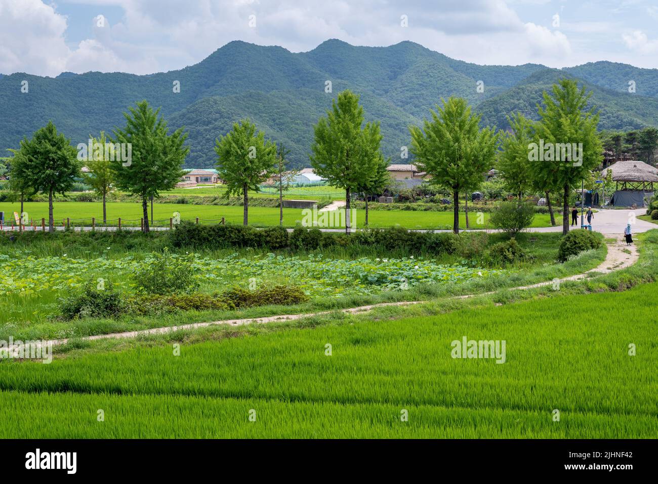 Hahoe traditional Folk Village in Andong South Korea, UNESCO site, on 17 July 2022 Stock Photo