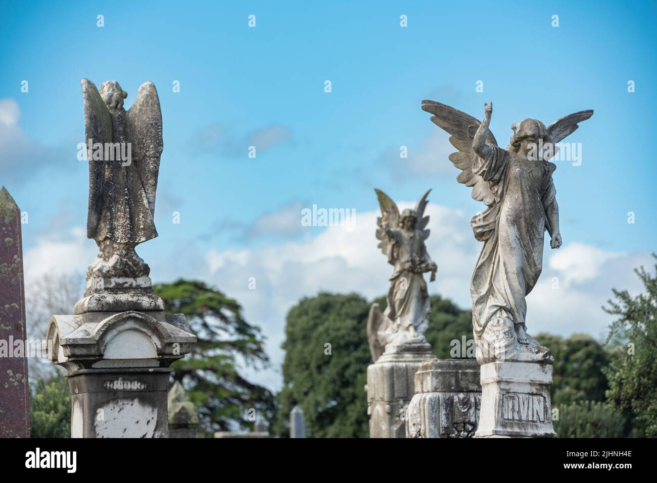 Several angel statues in part of Waikaraka cemetery in Auckland, New