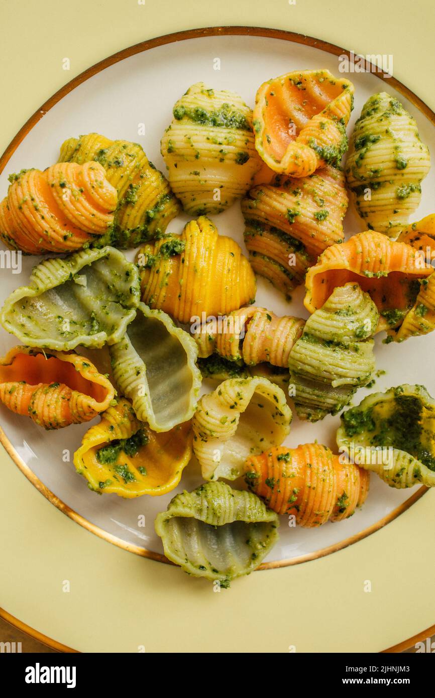pesto pasta with multicolor Sea Conch Shells "Conchiglioni" on pale
