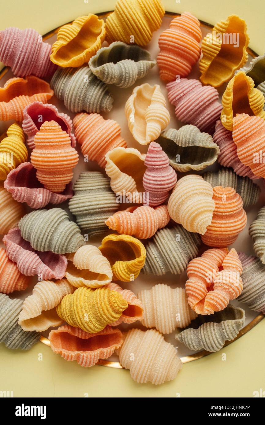 dry Sea Conch Shells "Conchiglioni" Colored Pasta, spinach, beetroot