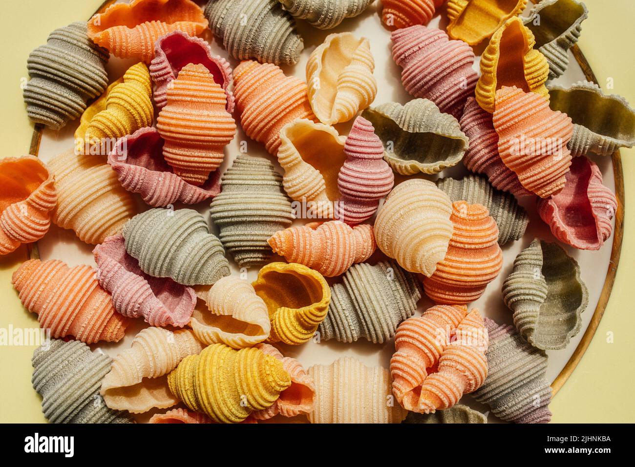 Pink conch hires stock photography and images Alamy