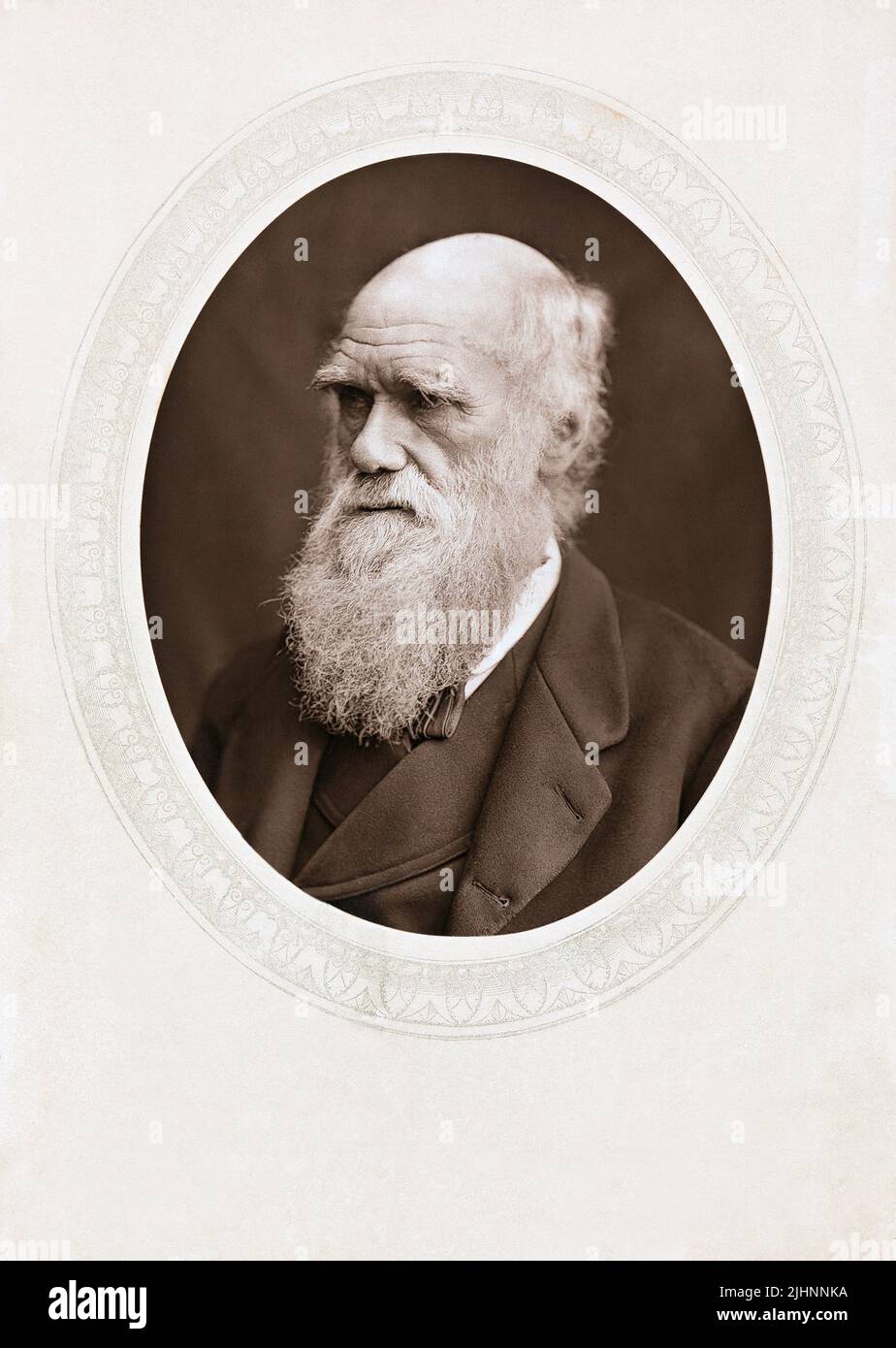 Portrait of Charles Darwin Stock Photo