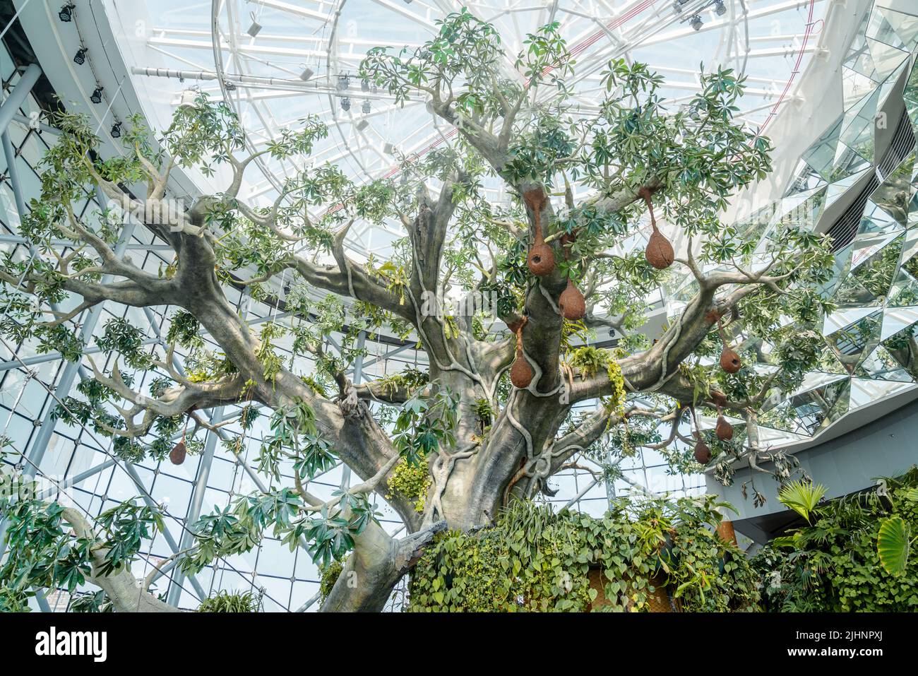 Dubai, UAE, October 8, 2016: The Green Planet Dubai - indoor rainforest environment with tropical birds, animals and plants Stock Photo