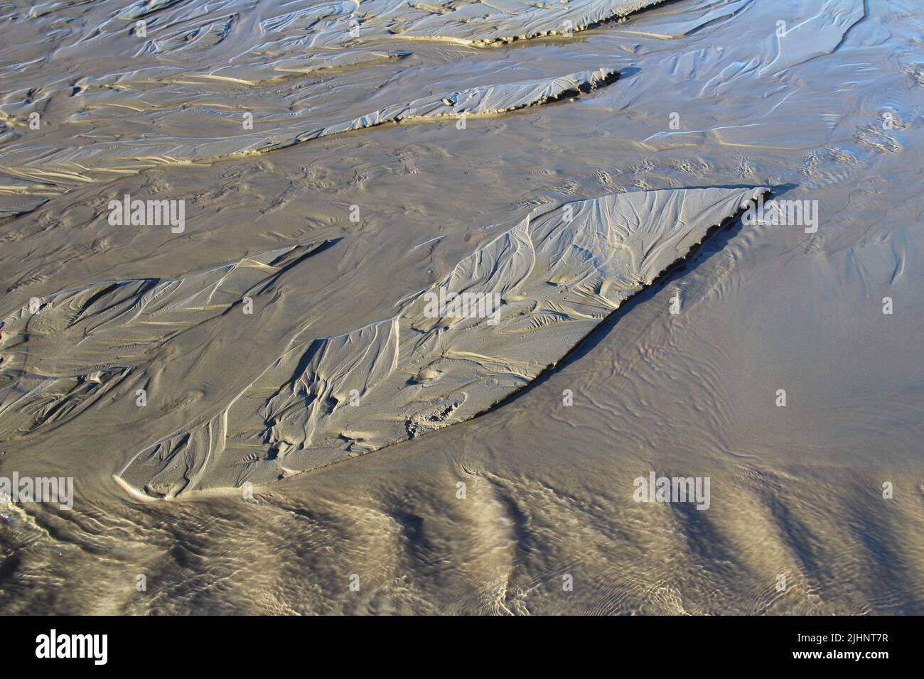 Abstract natural patterns hi-res stock photography and images - Alamy