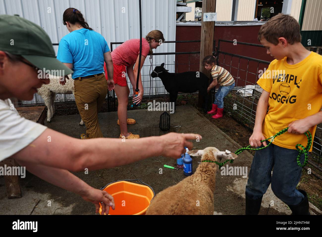 People clean livestock in a washing area at the 2022 Saratoga County Fair in Ballston Spa, New York, U.S., July 19, 2022. REUTERS/Shannon Stapleton Stock Photo