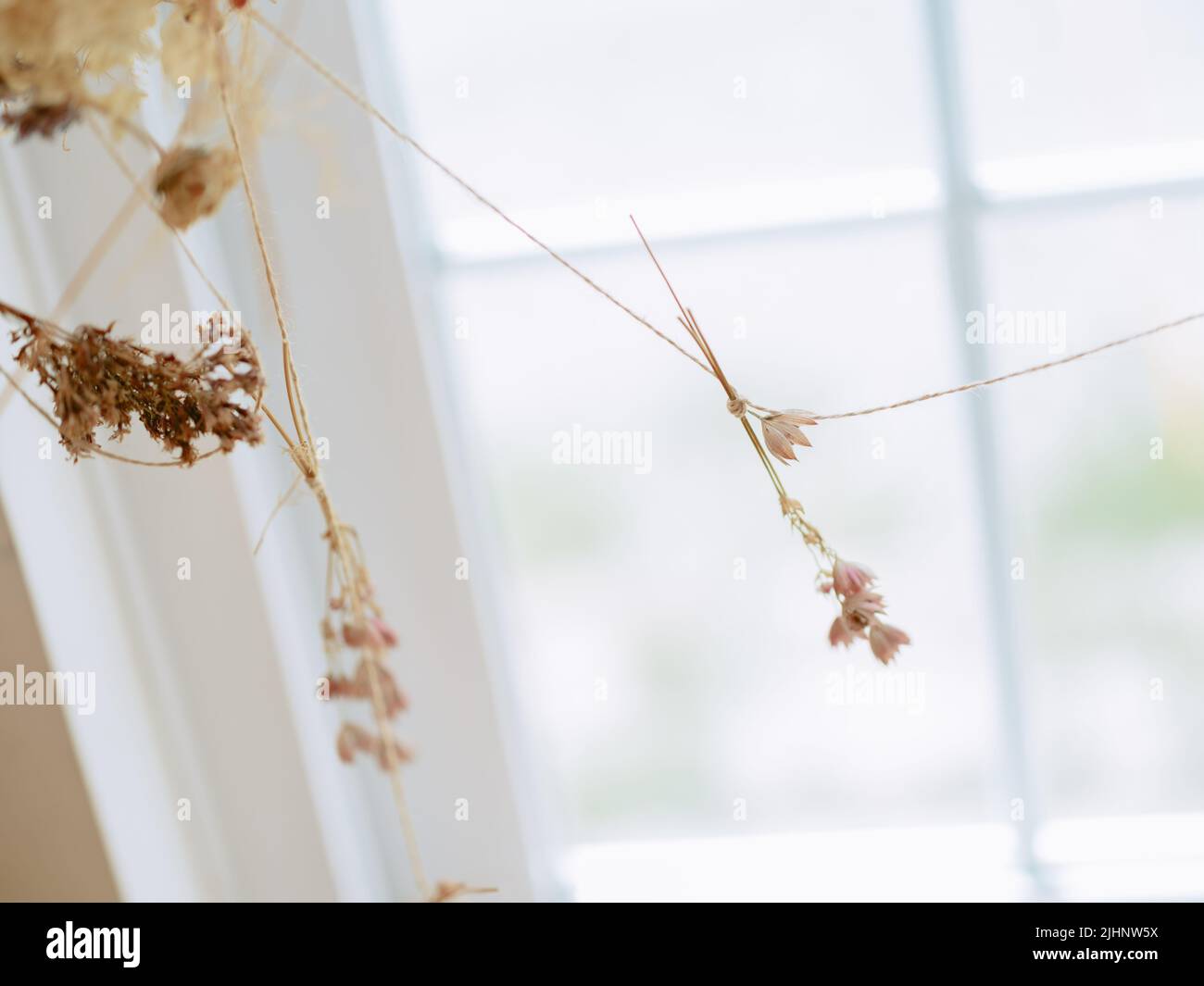 Dried Flower by the Window Stock Photo Alamy