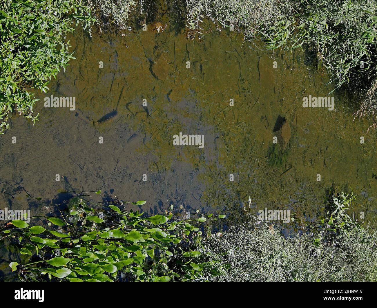 Temporary stream hi-res stock photography and images - Alamy