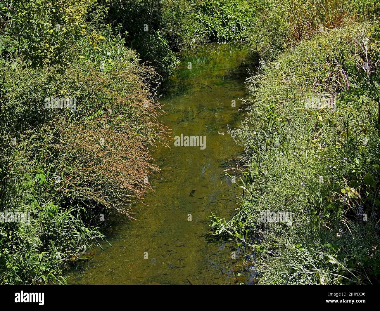 Temporary stream hi-res stock photography and images - Alamy