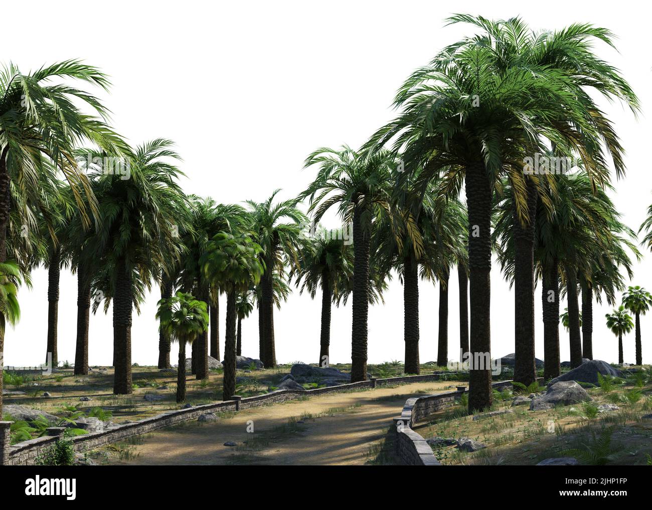 Tropical island with palm trees and plants, 3D Illustration Stock Photo ...