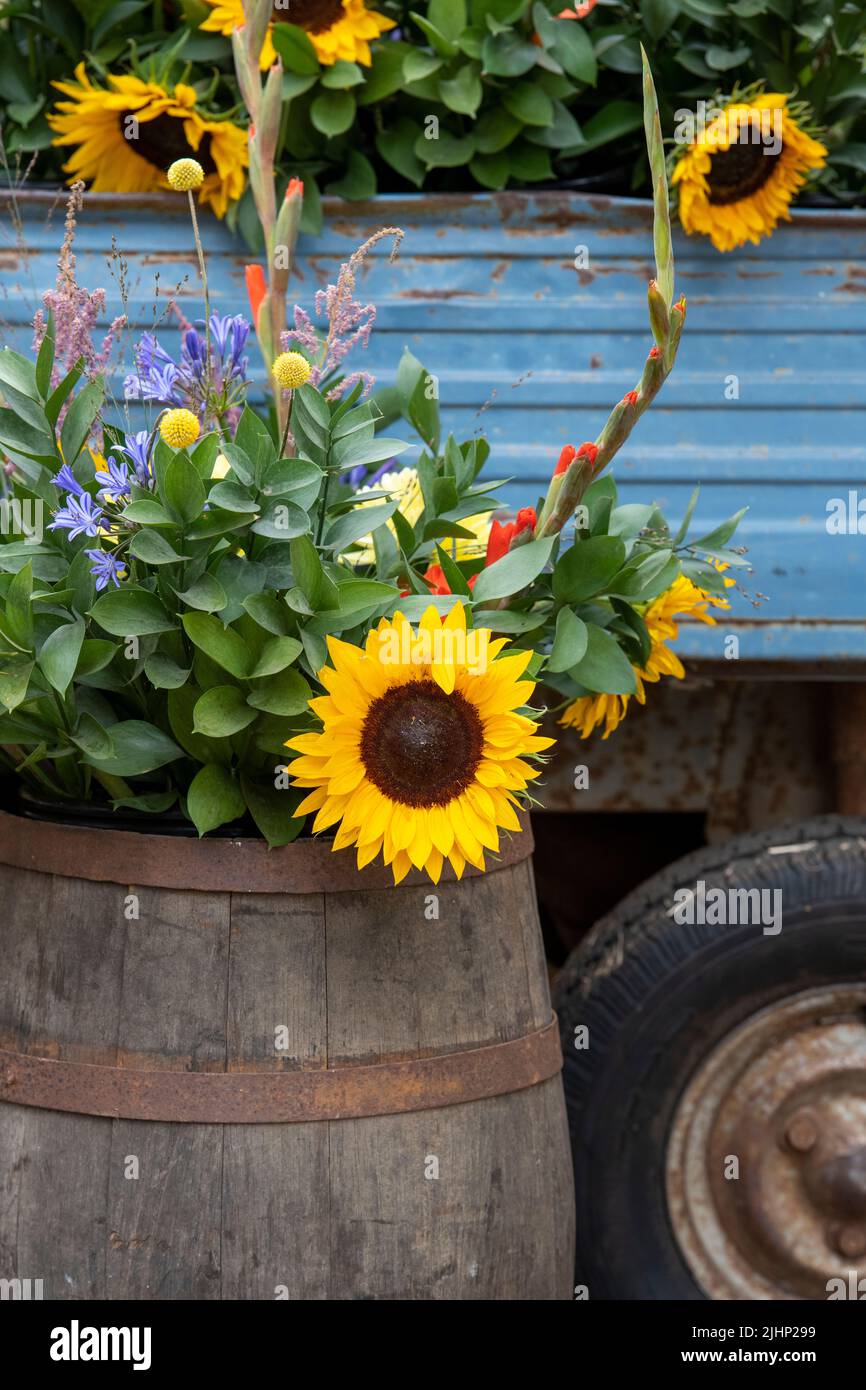 Flowers displaying in an Indian rickshaw pick up and a wooden barrel at a flower show. UK Stock Photo