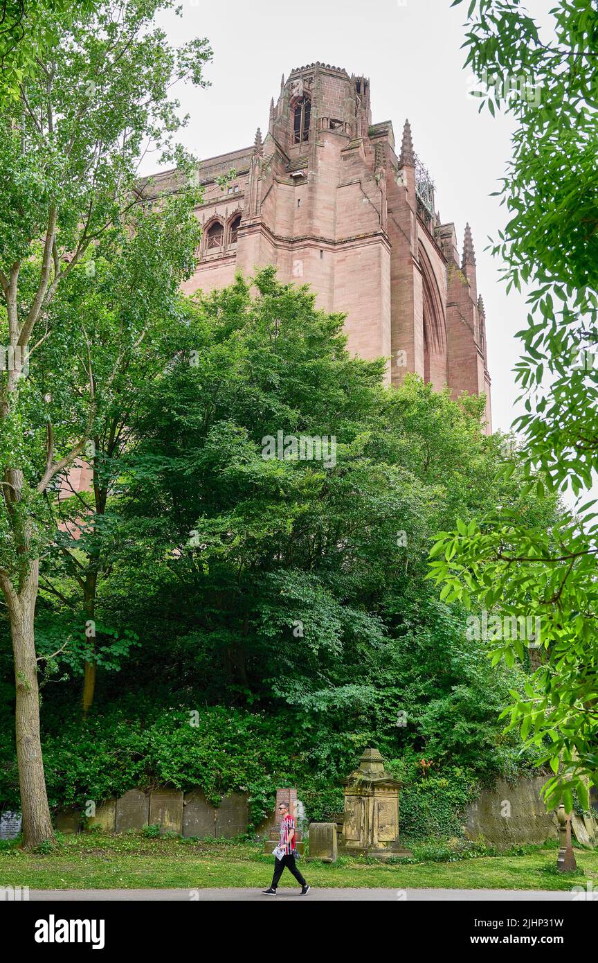 The Anglican Cathedral of Liverpool towers over St Jame's garden Stock