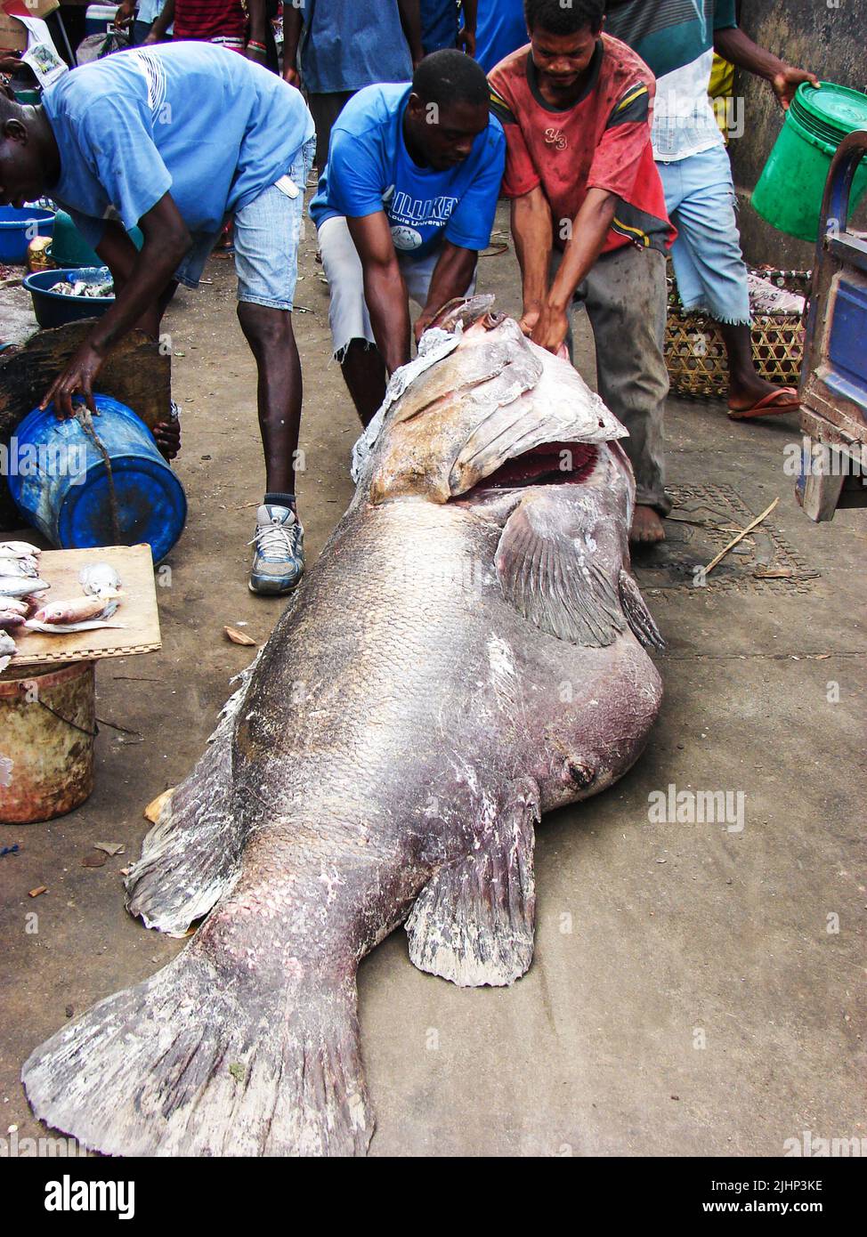 ZANZIBAR TOWN, TANZANIA - JANUARY ,07,2013: local fishermens caught a big fish and dragged it to the market Stock Photo