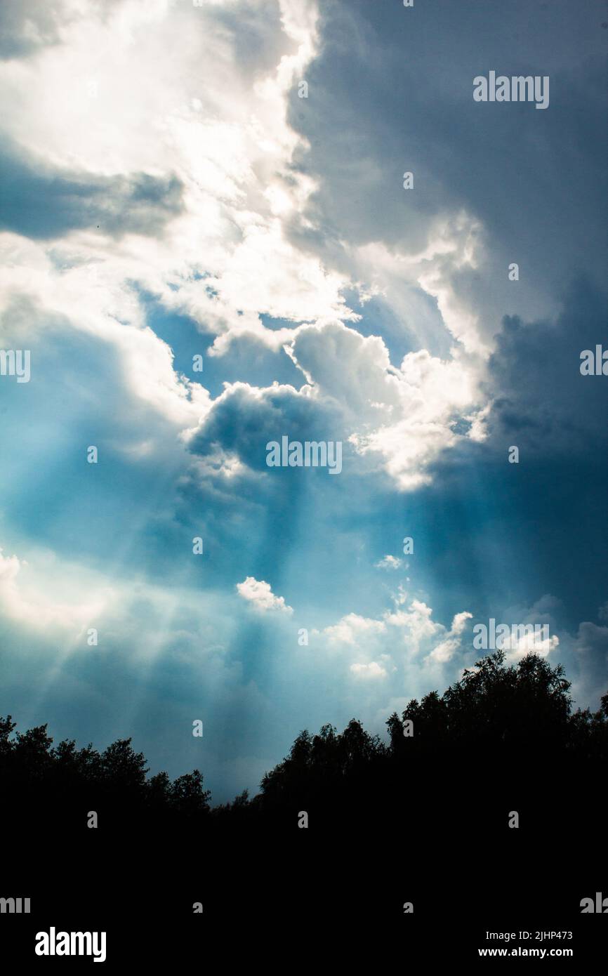 God rays on the forest. Heavenly beauty in all its splendor Stock Photo ...
