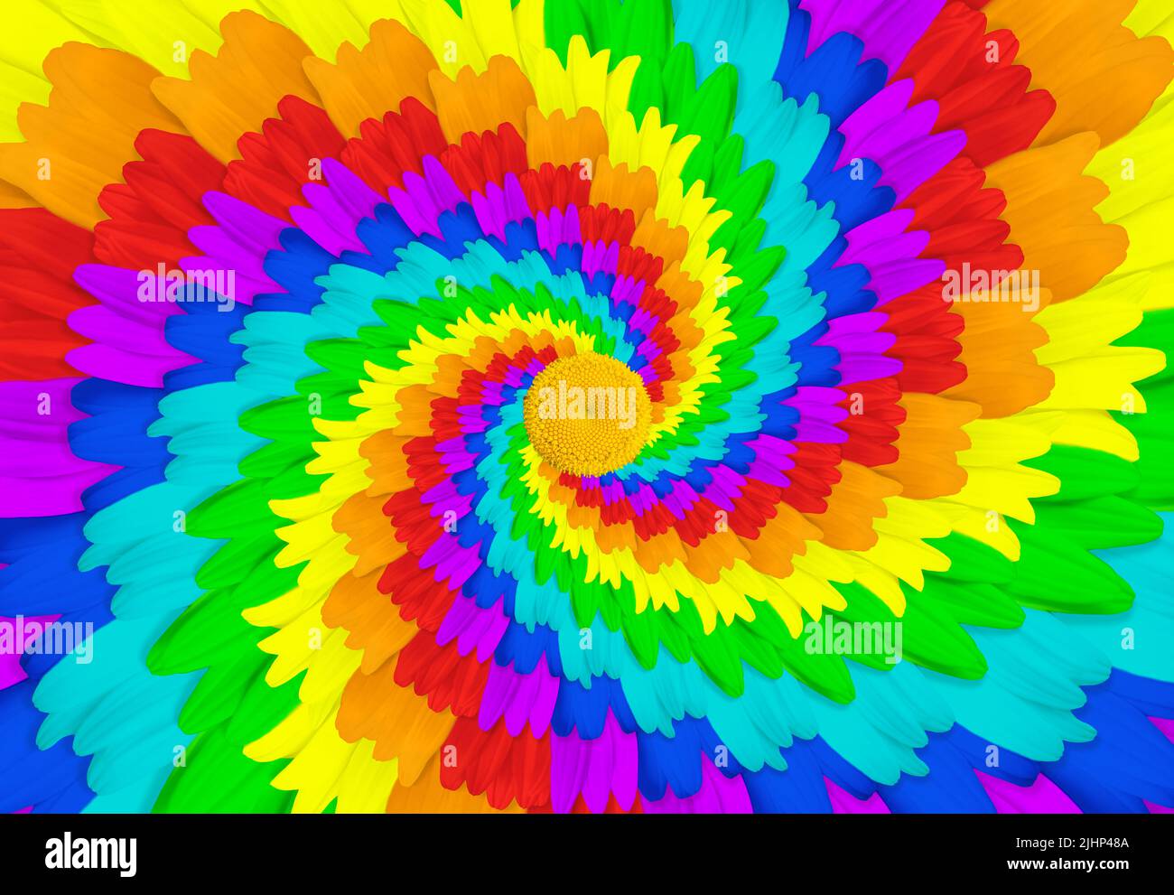 Abstract spiral pattern background made from rainbow colored daisies. Stock Photo