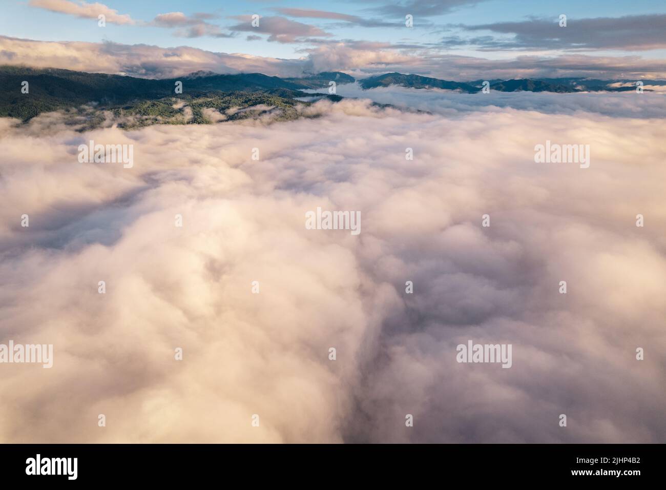 fog and clouds in the morning in the forest form above Stock Photo - Alamy