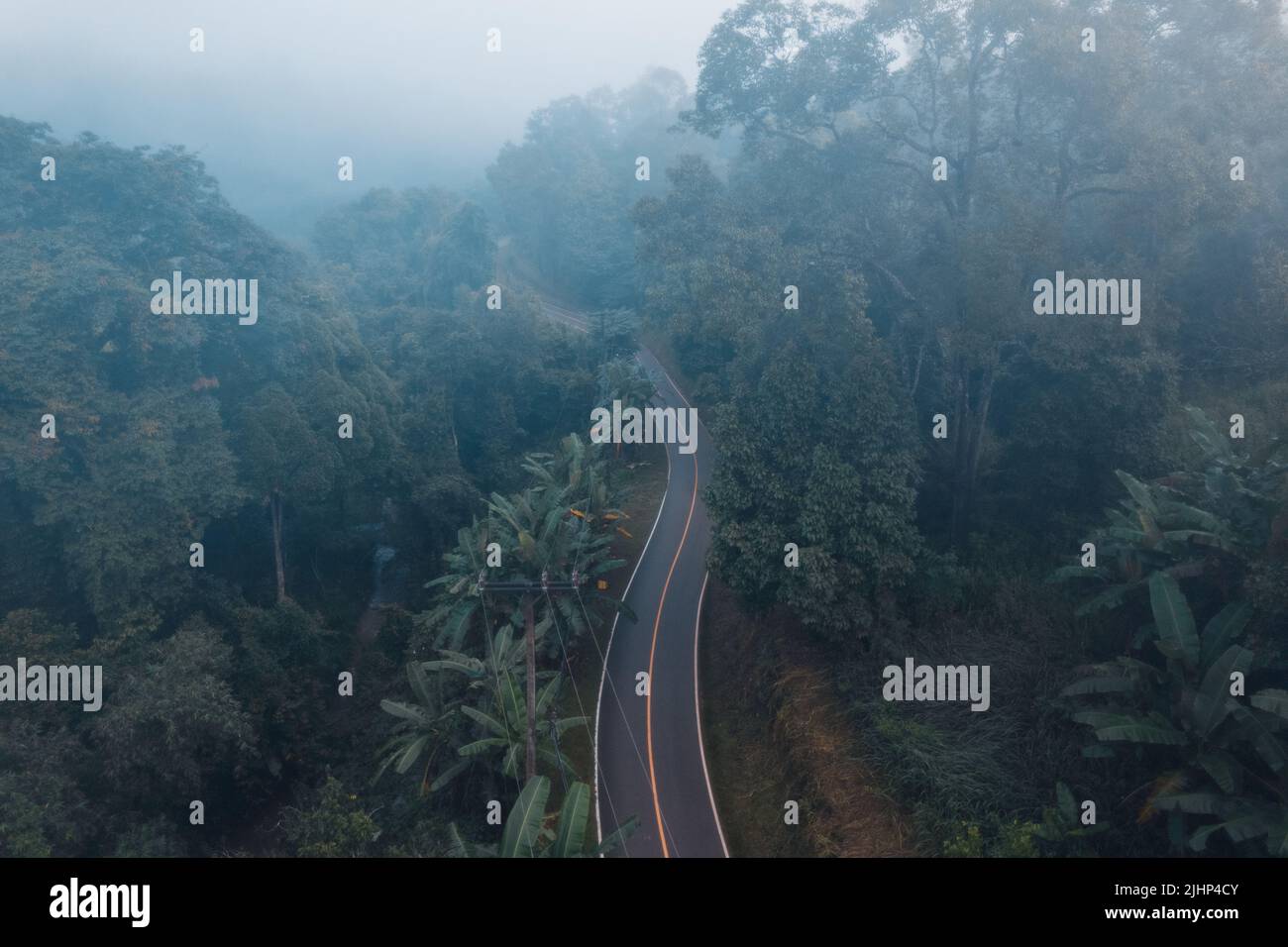 fog and clouds in the morning in the forest form above Stock Photo - Alamy