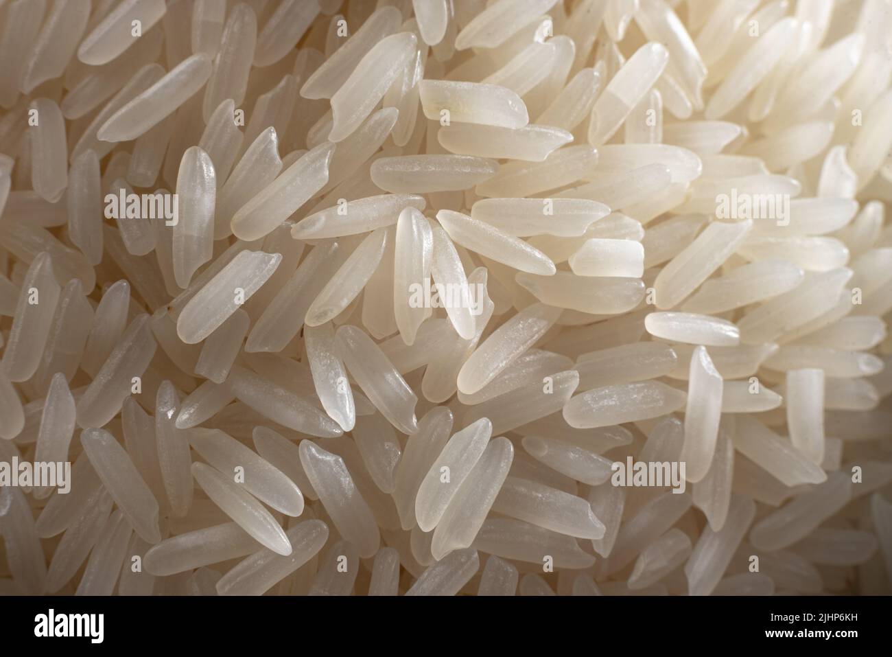 Rice Grain Close Up Stock Photo, Picture and Royalty Free Image. Image  19431633.