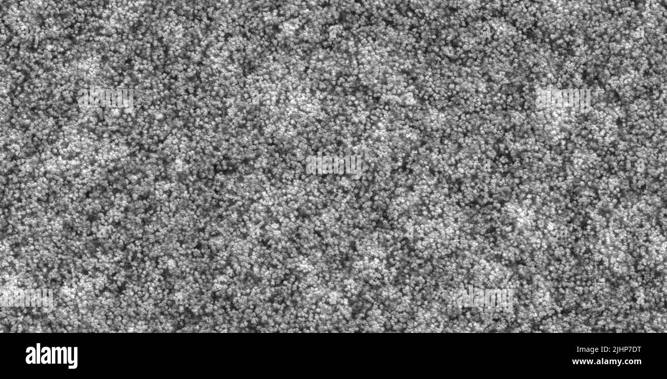 Black best sale frieze carpet