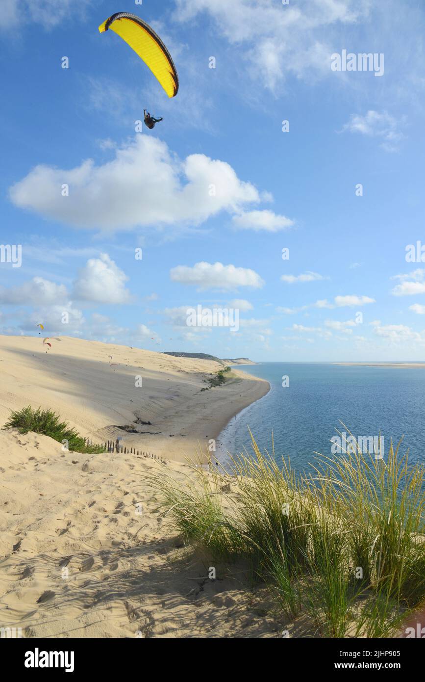 Gironde (33). Bassin d'Arcachon. Parapente sur la dune du Pillat. Avec une hauteur de 102,5 m, la dune du Piilat est la plus haute d'Europe Stock Photo