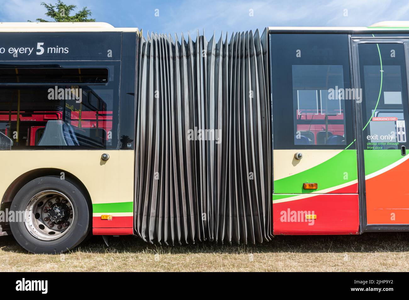 An articulated bus, known as a bendy bus, England, UK Stock Photo