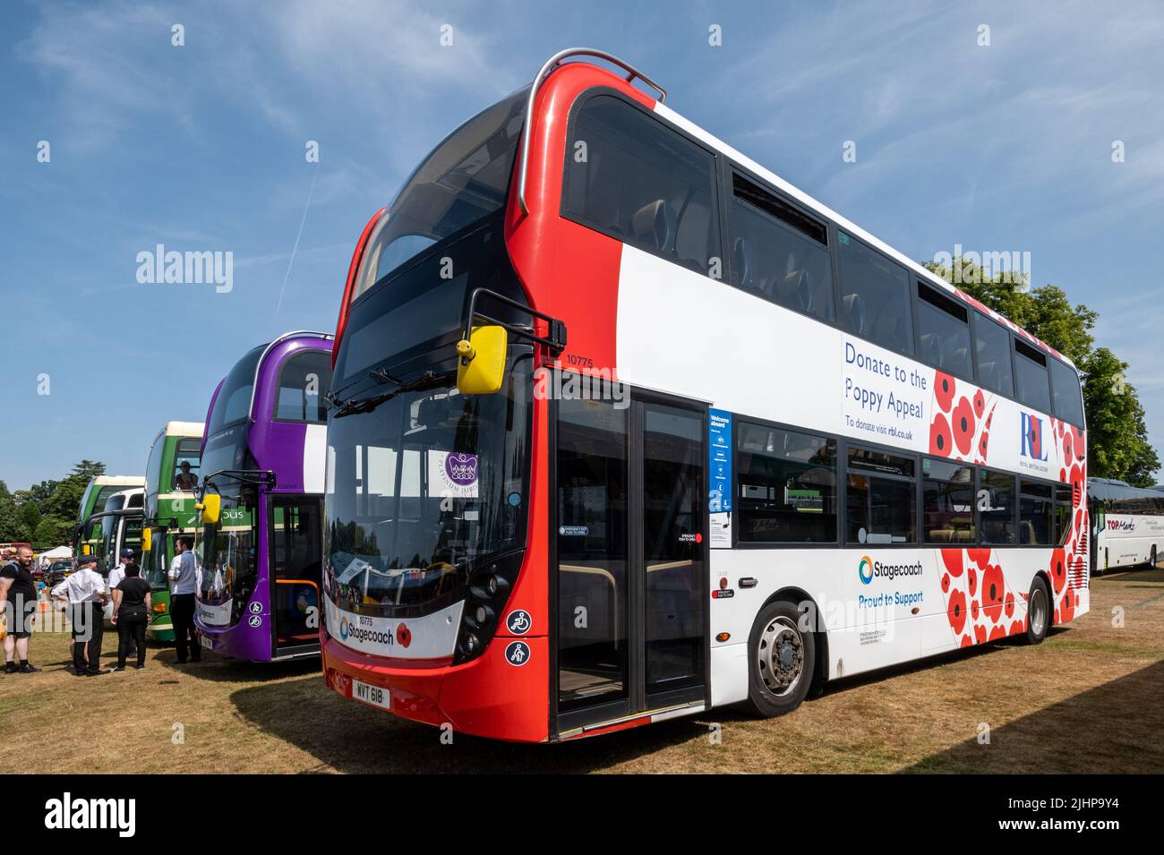 Stagecoach buses with special livery: celebrating the Queen's platinum Jubilee and the Royal British Legion Poppy Appeal, England, UK Stock Photo