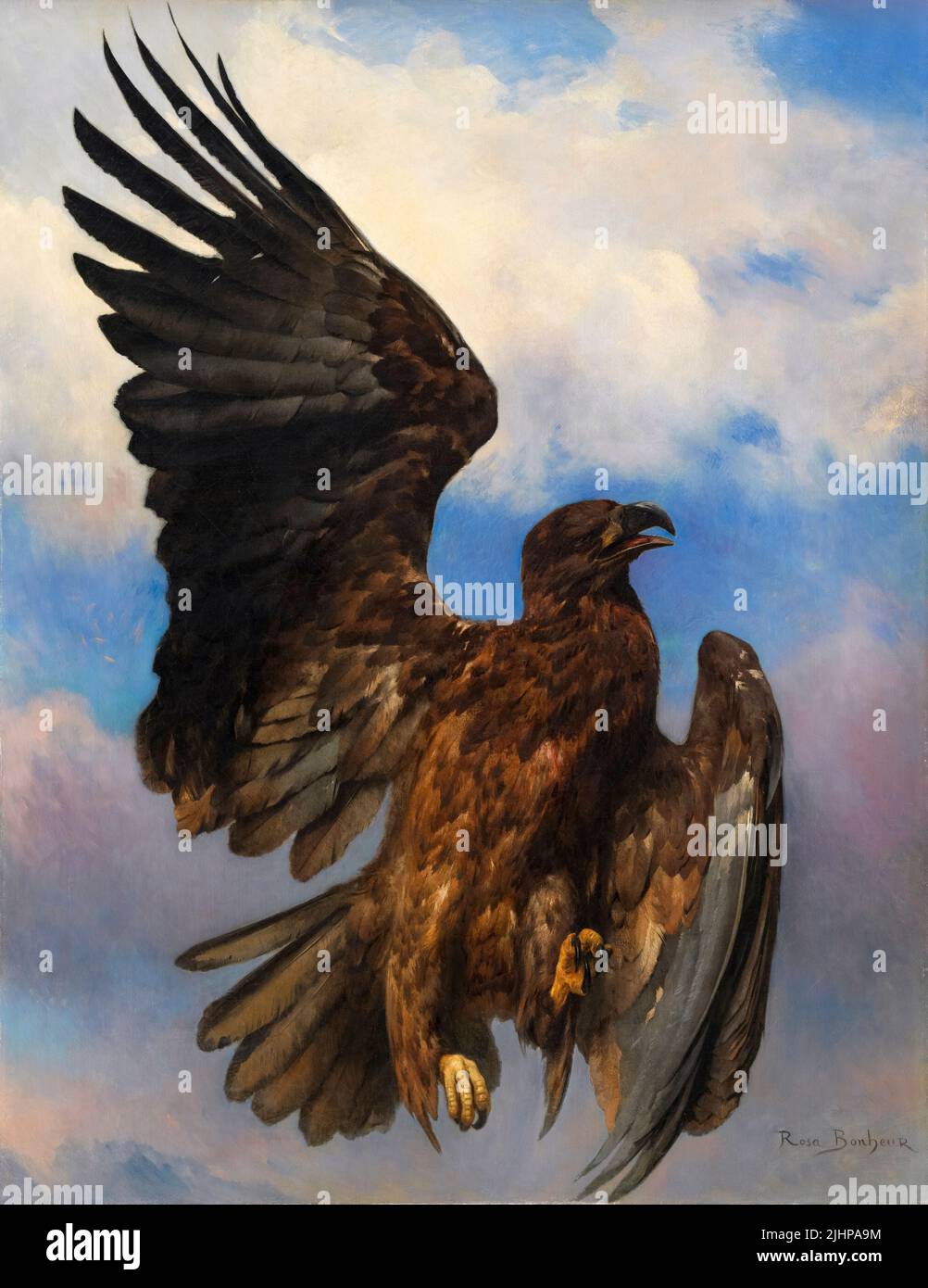 Eagle painting hi-res stock photography and images - Alamy